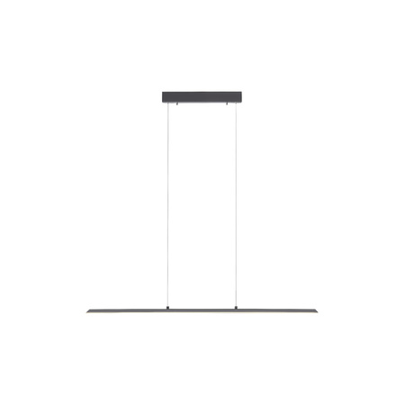 PURE-LITE LAMPA WISZĄCA ANTRACYT (8375-13) - Paul Neuhaus