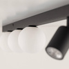 Lampa sufitowa VOX 6 (10003) - TK Lighting