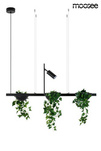Lampa wisząca PLANT LINE czarna (MSE1501100210) - Moosee