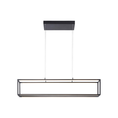 CONTURA LAMPA WISZĄCA CZARNY (2441-18) - Paul Neuhaus