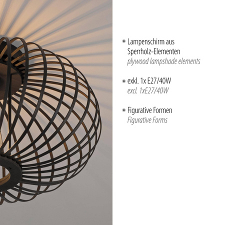 Lampa sufitowa RACOON CZARNA (11410-18) - Paul Neuhaus