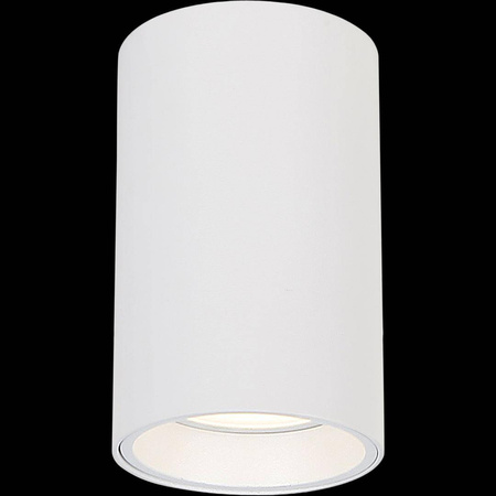 GENESIS SPOT WHITE 1xGU10 10cm (ML0382) - Milagro