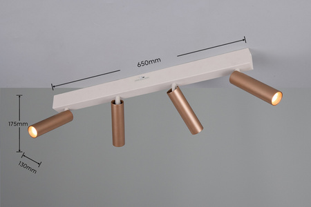 Lampa sufitowa z reflektorami AMBALA (849210465) - Trio