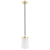 Lampa wisząca 1 pł. PASADENA (8004) - Argon