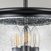 Lampa sufitowa Pickering Lane (FE-PICKERING-LANE-SF-BLK) - Elstead Lighting