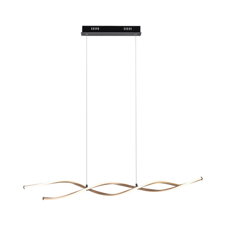 POLIA LAMPA WISZĄCA CZARNY/ZŁOTY (9142-18) - Paul Neuhaus