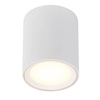 Oprawa natynkowa FALLON Nordlux LED  Metal Biały
