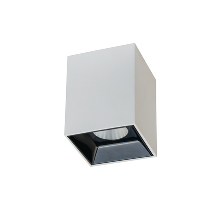 CEILING SPOT LED 10W WHITE (S068 Zambelis) - Zambelis