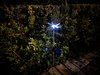 LAMPA ZEWNĘTRZNA SOLARNA WAŻKA SREBRNA/SILVER (VK018A) - Zuma Line