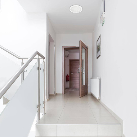 Plafon z czujnikiem ruchu Mario 2xE27 PIR (EKP9911) - Eko-Light