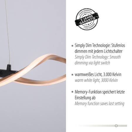 POLIA LAMPA WISZĄCA CZARNY/ZŁOTY (9142-18) - Paul Neuhaus