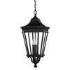 Lampa wisząca zewnętrzna Cotswold Lane (FE-COTSLN8-L-BK) - Elstead Lighting
