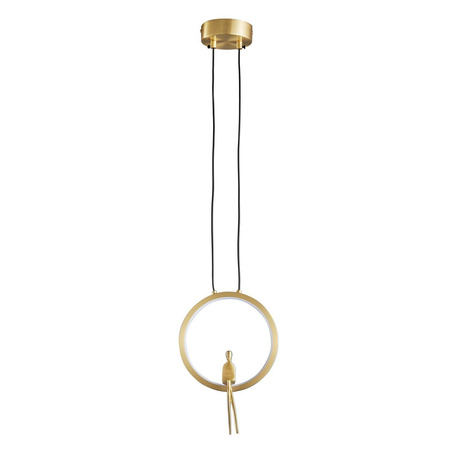 Lampa wisząca AMICI led złota 27 cm (ST-D7774 gold) - Step into Design