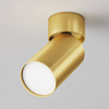 Lampa sufitowa FOCUS S (C050CL-U-1MG) - Maytoni