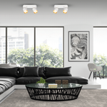 Lampa sufitowa Andy Spot 2 (ML9934) - Milagro