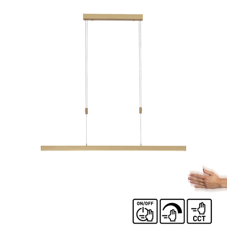 ADRIANA LAMPA WISZĄCA MATOWY MOSIĄDZ (2568-60) - Paul Neuhaus