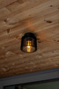 Lampa sufitowa SHYNE (6397501012) - Lutec
