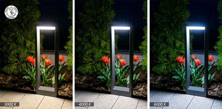 Form (YB19504) - SU-MA