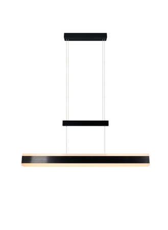 Nowoczesna lampa wisząca ARCOLA (331210332) - Trio