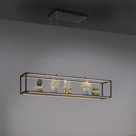 CONTURA LAMPA WISZĄCA CZARNY (2441-18) - Paul Neuhaus