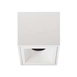 Lampa sufitowa CROSTI PERO SQ TUBE (459154) - Loonari