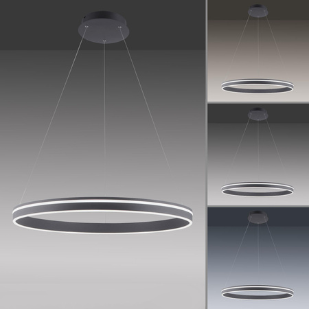 Q-VITO LAMPA WISZĄCA ANTRACYT (8412-13) - Paul Neuhaus