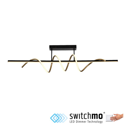 EMANDA LAMPA SUFITOWA MOSIĄDZ/CZARNY (19112-68) - Paul Neuhaus