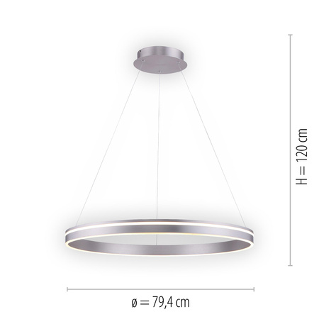 Q-VITO LAMPA WISZĄCA SREBRNY (8412-55) - Paul Neuhaus