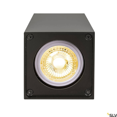 Lampa ścienna i sufitowa ALTRA DICE CL(1002216) - SLV