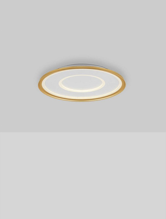 Plafon wewnętrzny HARDEMAN (LE44675) - Luces Exclusivas