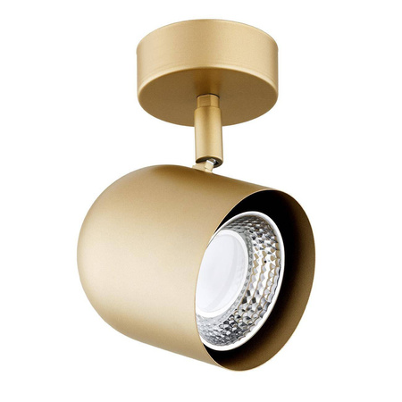 Kinkiet/ Lampa sufitowa ISOLA (8260) - Argon