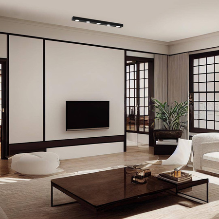 Lampa sufitowa ALEXANDER 5xGX53 (MLP8833) - Milagro