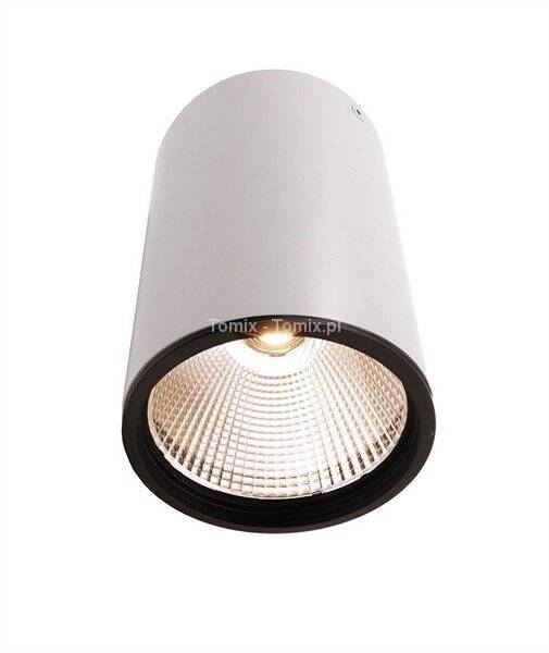 Lampa sufitowa LED LUNA 30 3000K kol. biały mat (D348059)