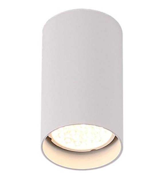 Lampa sufitowa PET ROUND kol. biały (C0141) Max light