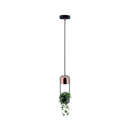 Lampa wisząca Neordic Fanja (PL79749) - Paulmann