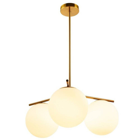 Lampa wisząca VENUS-3 (ST-5026-3 BRASS) - Step into Design