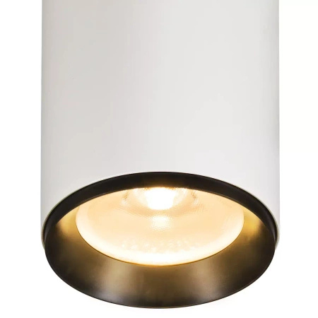 NUMINOS® DALI XL, oprawa wisząca biała 36 W 2700 K 24° (1005780) - SLV