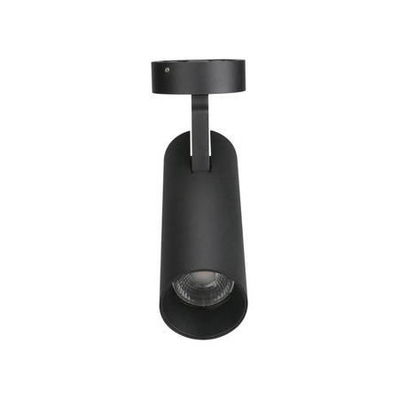 Oprawa sufitowa SHINEMAKER ściemnialna (C0210) - Maxlight
