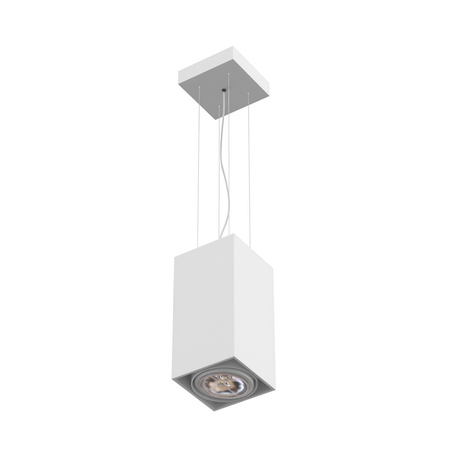 TUZ S2Wh AR111 wisząca max. 1x60W, G53, 12V/AC, biały sygnałowy (mat struktura) RAL 9003 (T019S2Wh117) - Cleoni